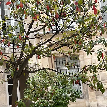 Rose Apartment Paris